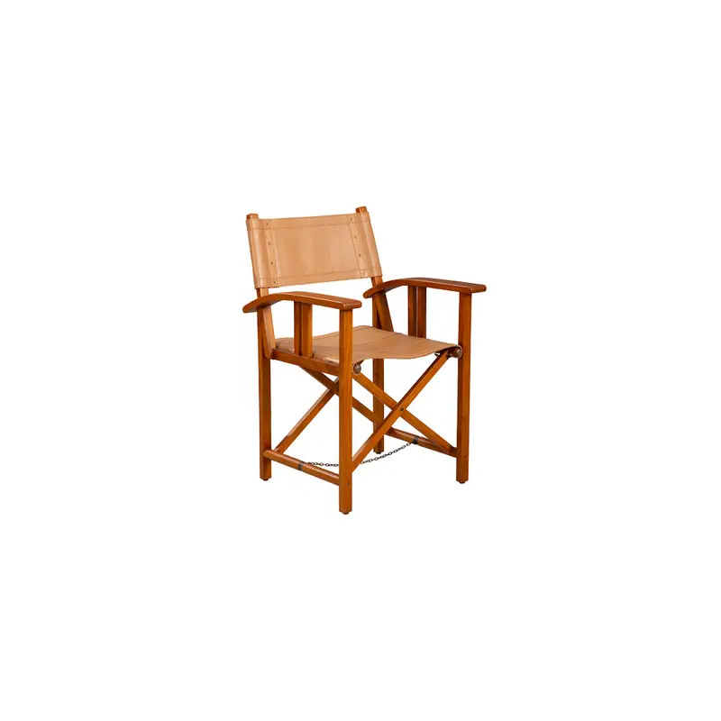 Balago Folding Chair - 24'