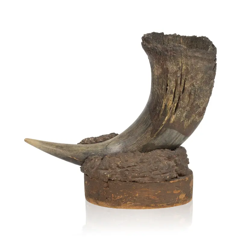 Buffalo Horn Vase