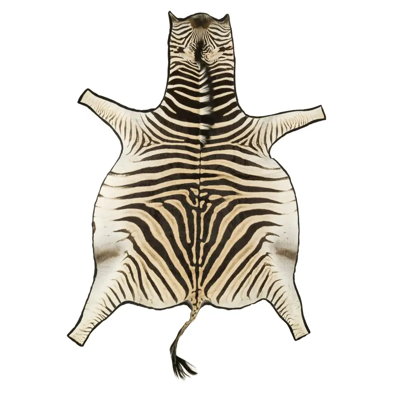 Zebra Rug